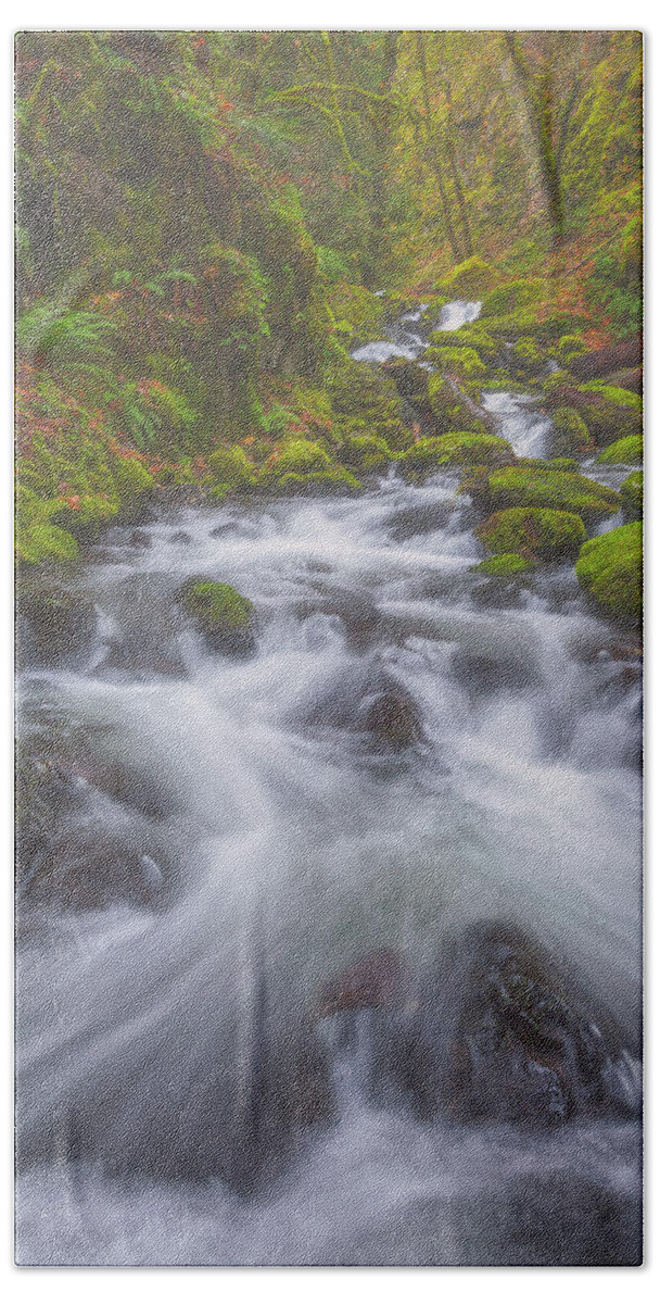 Water Beach Towel featuring the photograph Up a Creek by Darren White