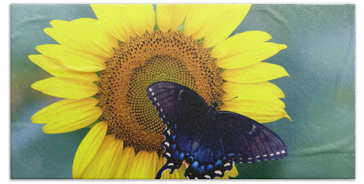 Insect Beach Towel featuring the photograph Upon the Sun by Art Cole