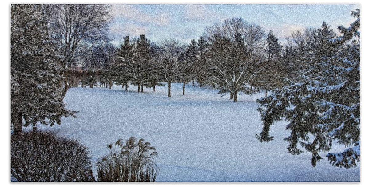 Arboretum Beach Towel featuring the photograph UW Arboretum Winter by Steven Ralser
