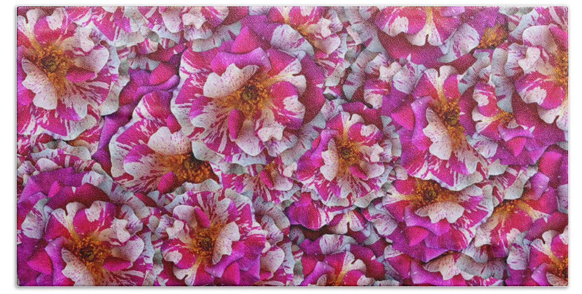 Rose Beach Towel featuring the photograph Variegated Rose Collage by Vanessa Thomas