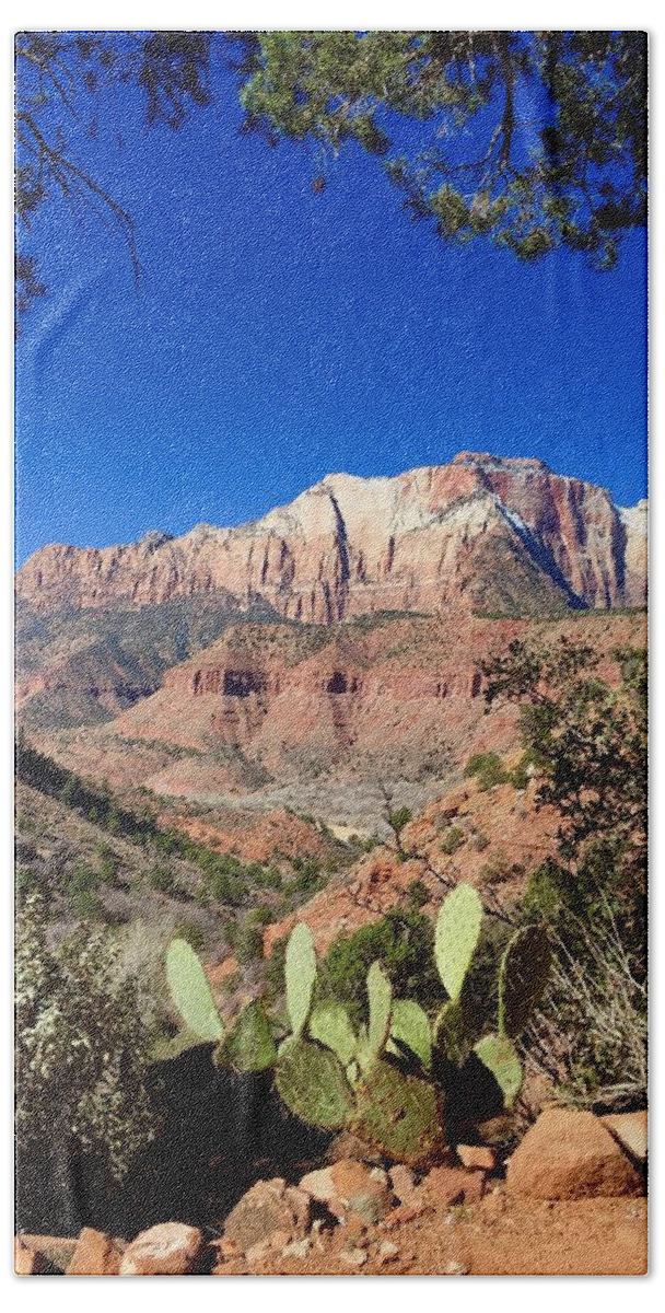 Zion Beach Towel featuring the photograph View in Zion National Park by Bettina X