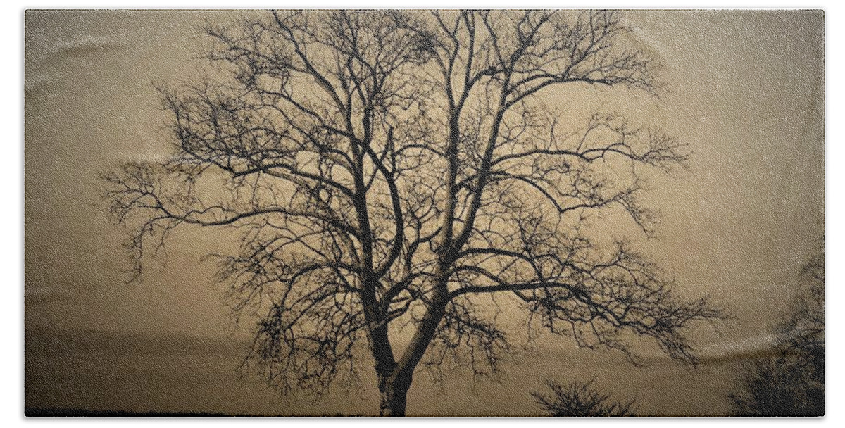 Trees Beach Towel featuring the photograph Vintage Vignette Version of Tree by the Delaware by Linda Stern