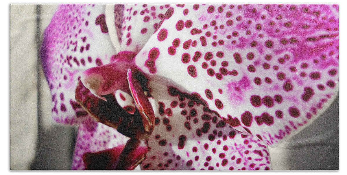 Orchid Beach Towel featuring the photograph Violet beauty by Ramona Matei