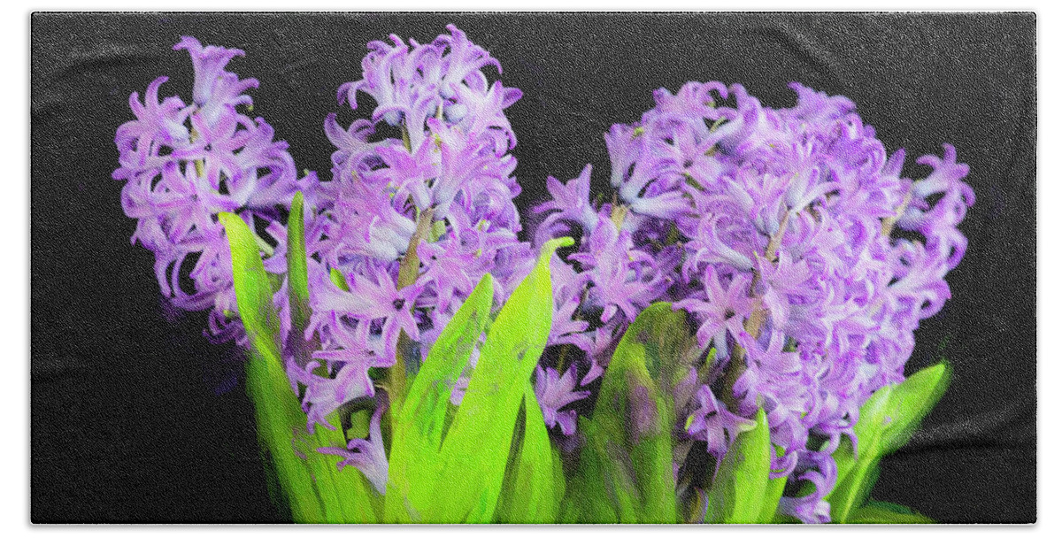 Hyacinths Beach Towel featuring the photograph Violet Hyacinths X104 by Rich Franco