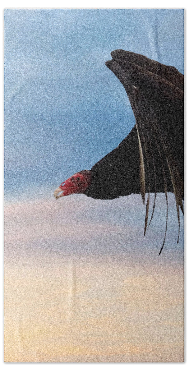 Nature Beach Towel featuring the mixed media Vulture by Judy Cuddehe