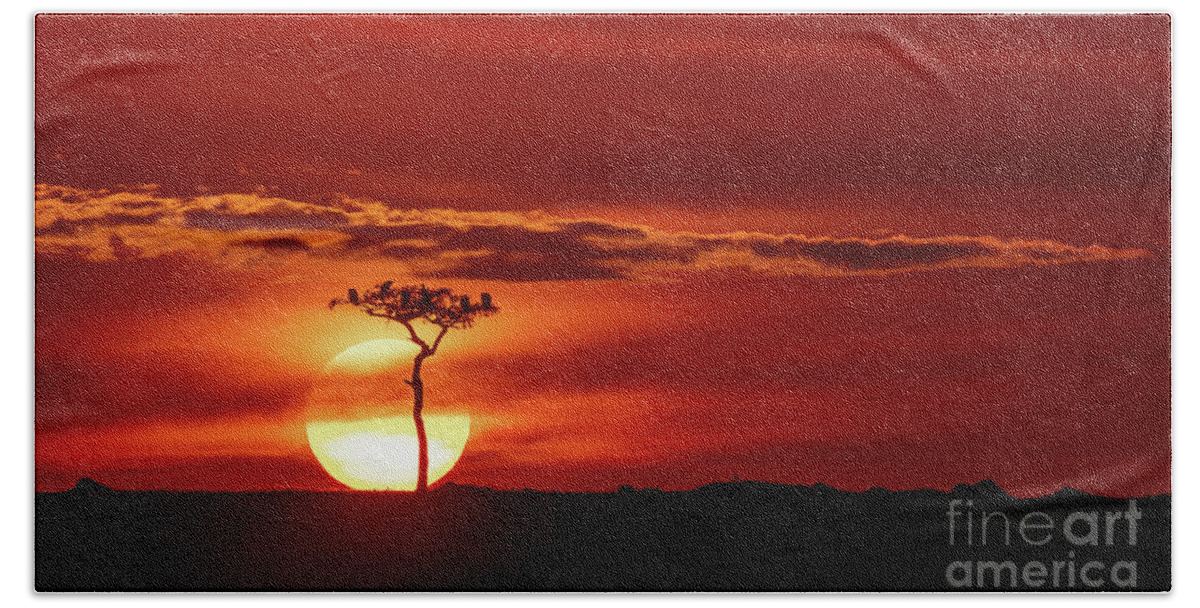 Sunset Beach Towel featuring the photograph Vultures in silhouette perched in a tree against the setting sun. Red sky sunset in the Masai Mara, Kenya by Jane Rix