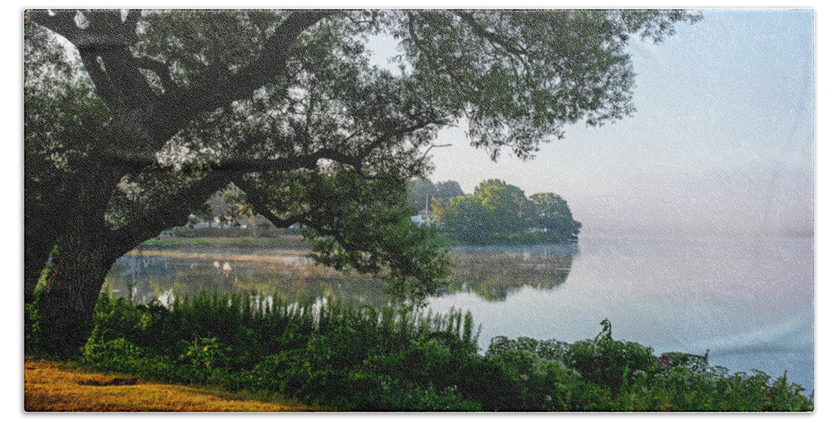 Wakefield Beach Towel featuring the photograph Wakefield MA Lake lake Quannapowitt Tree Misty Sunrise by Toby McGuire