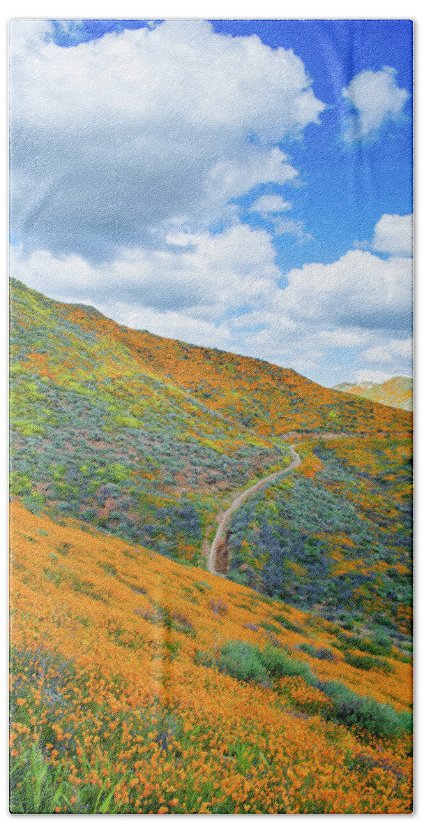 California Poppy Beach Towel featuring the photograph Walker Canyon Super Bloom Portrait by Kyle Hanson