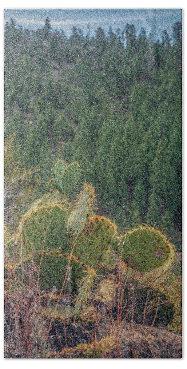  Cactus Beach Towel featuring the photograph Walnut Canyon Cactus by Ray Devlin