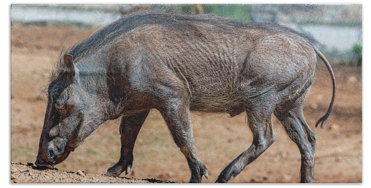  Beach Towel featuring the photograph Warthog by Al Judge