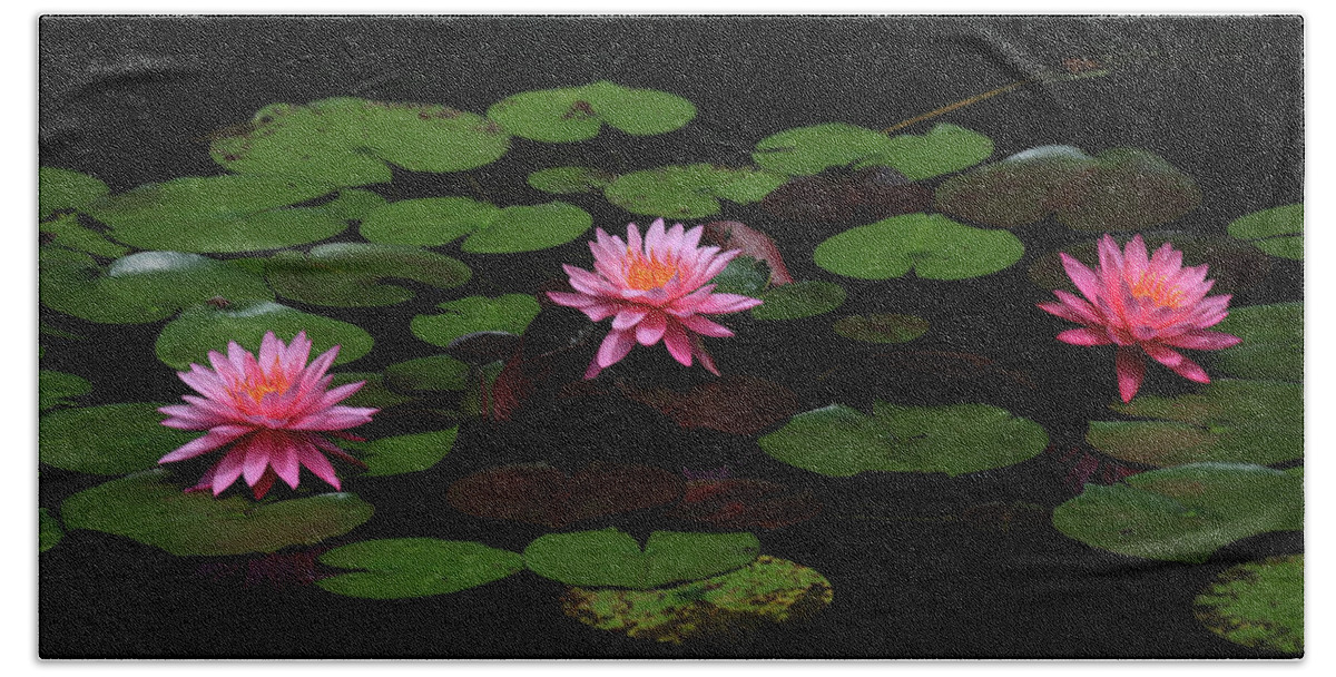 Water Lily Beach Towel featuring the photograph Water Lilies 9 by Richard Krebs