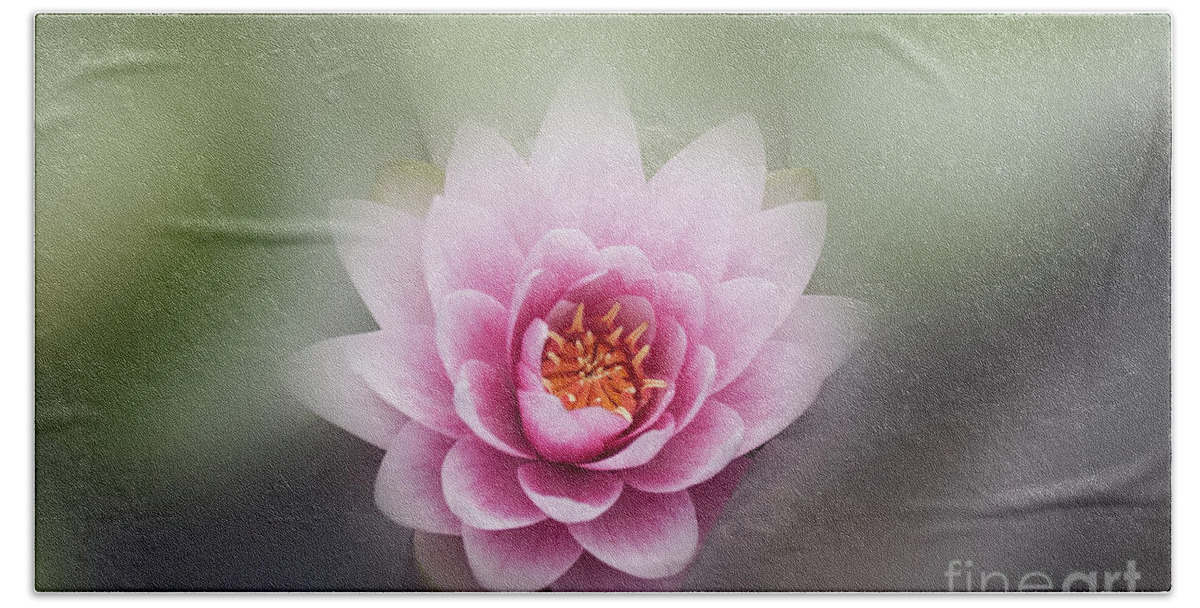 Lotus Beach Sheet featuring the photograph Water Lotus Flower by Elaine Teague