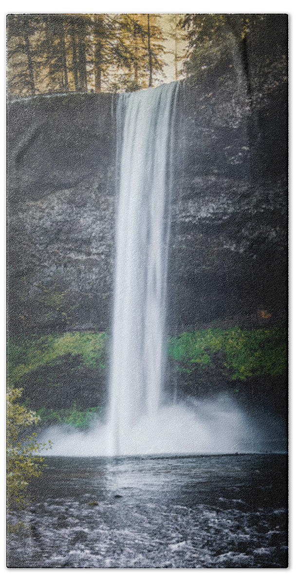 Forest Beach Towel featuring the photograph Waterfall G 1x2 by Ryan Weddle
