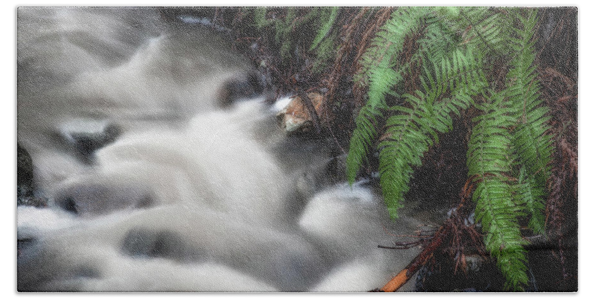 Webb Creek Beach Towel featuring the photograph Webb Creek and ferns by Donald Kinney
