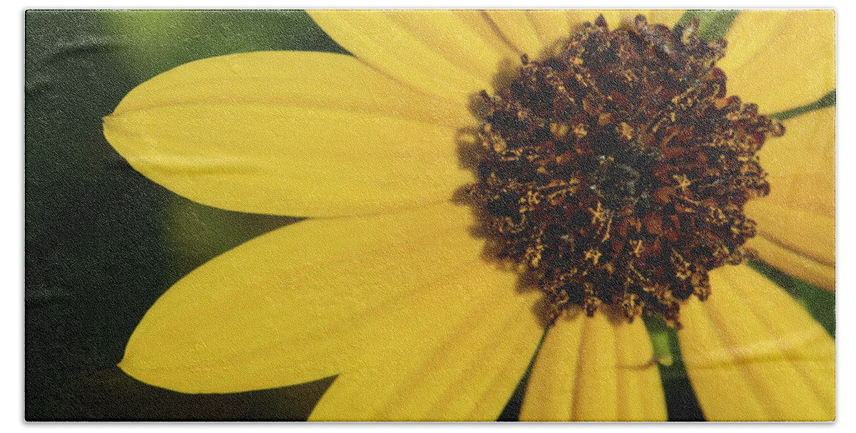 Sunflower Beach Sheet featuring the photograph West Coast Dune Sunflower by Paul Rebmann