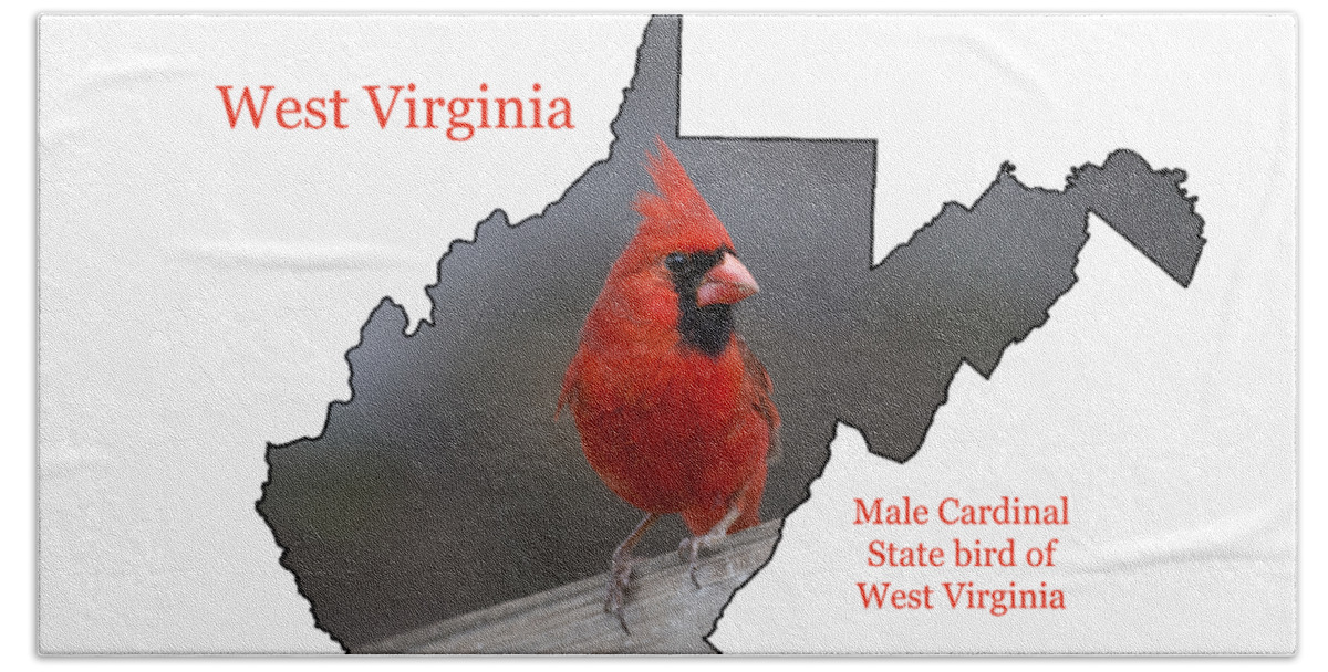 Cardinal Beach Towel featuring the photograph West Virginia themed accessories by Daniel Friend