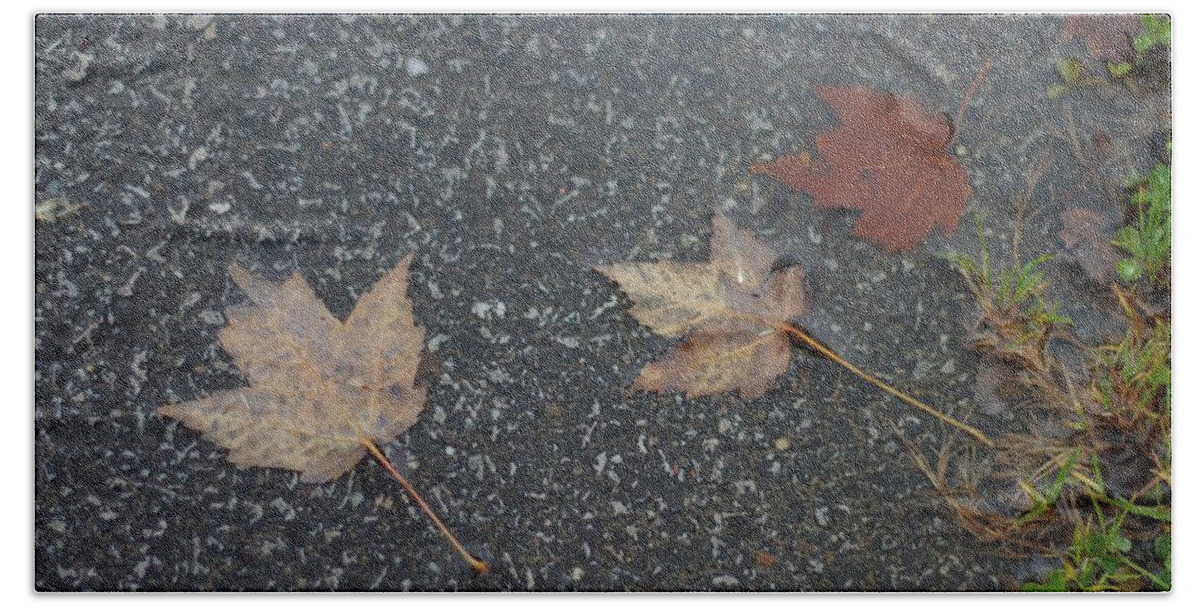 Leaves Beach Towel featuring the photograph Wet Autumn Leaves in a Puddle by Valerie Collins