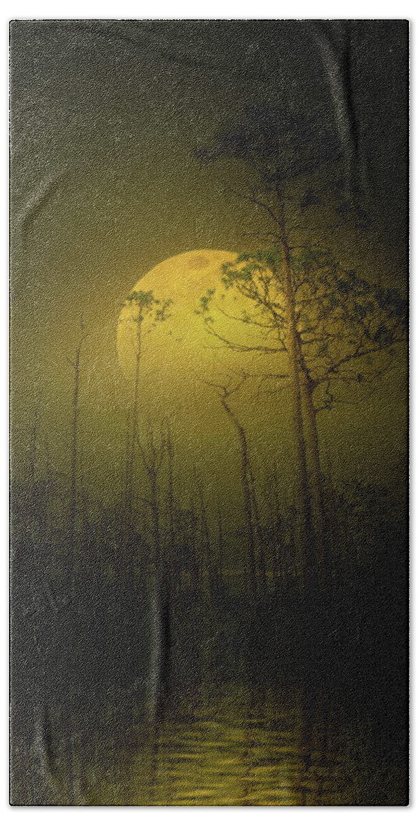 Moon Beach Towel featuring the photograph Where the Wild Moon Sleeps by Mark Andrew Thomas