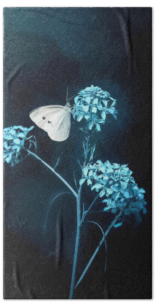 Flower Beach Towel featuring the photograph White Butterfly on Blue Flower by Deborah Penland