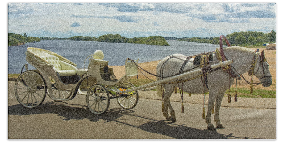 Horse Beach Towel featuring the photograph White horse with white carriage by Irina Afonskaya