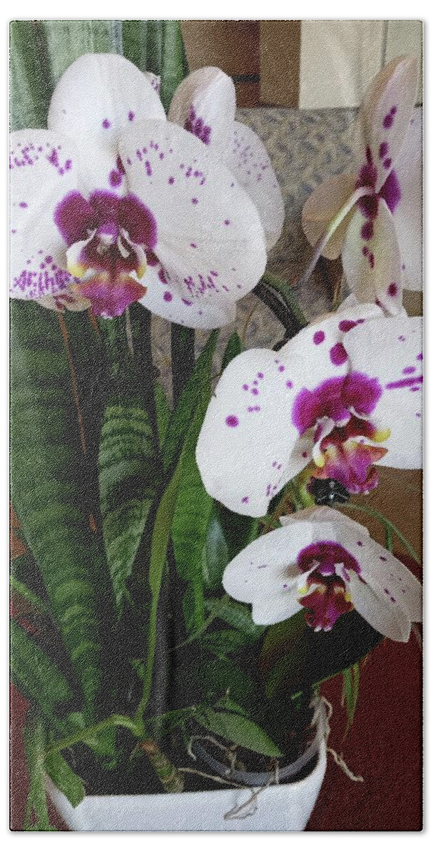 Orchid Beach Sheet featuring the photograph White Orchid by Vickie G Buccini