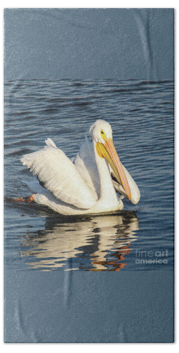 American White Pelican Beach Towel featuring the photograph White Pelican Reflection by Joanne Carey