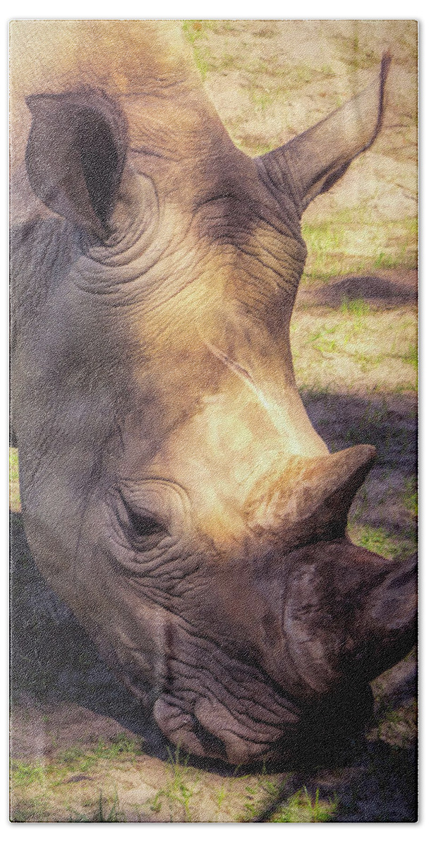 White Beach Towel featuring the photograph White Rhino Closeup by Jason Fink