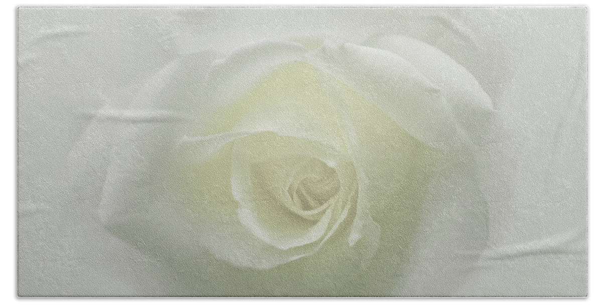 E.g.flower Beach Towel featuring the photograph White Rose by Mehran Akhzari