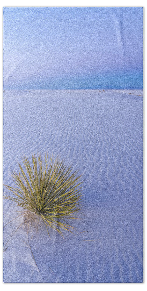 White Sands National Park Beach Towel featuring the photograph White Sands Yucca at Dusk by Tina Horne