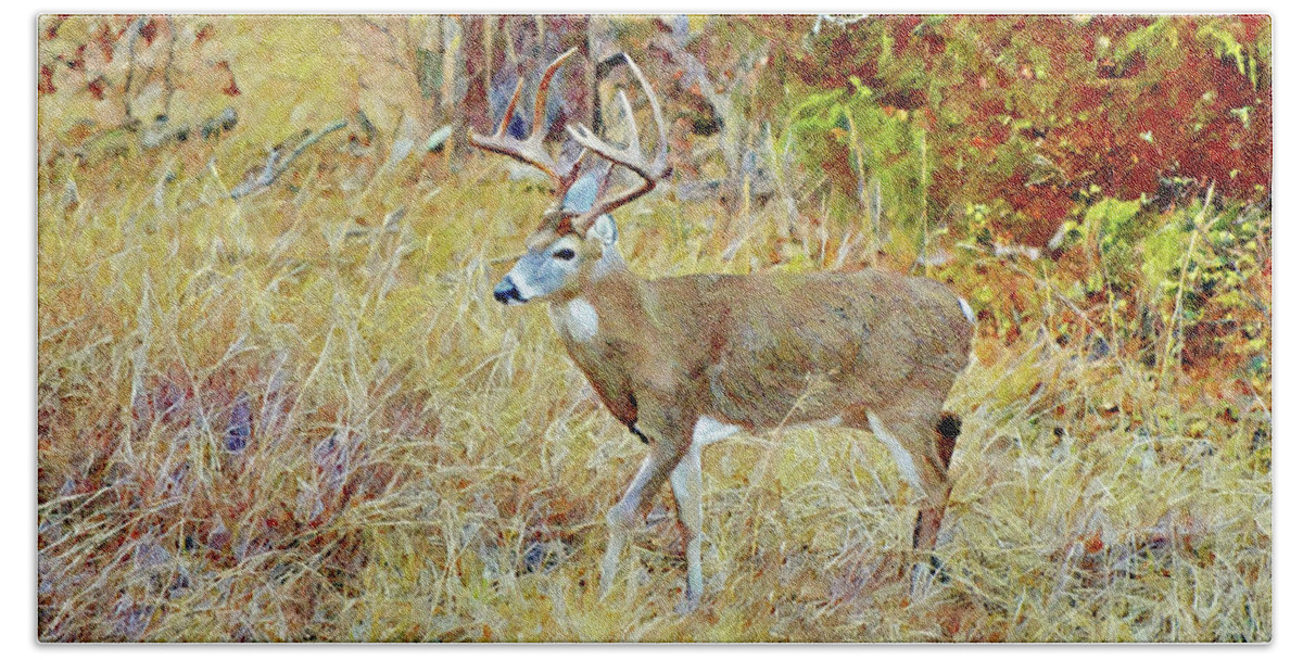 Deer Beach Towel featuring the digital art Wild Deer Buck White Tailed Deer in Texas by Gaby Ethington