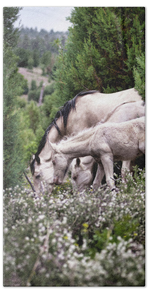 Wild Horses Beach Towel featuring the photograph Wild Flower Breakfast by American Landscapes