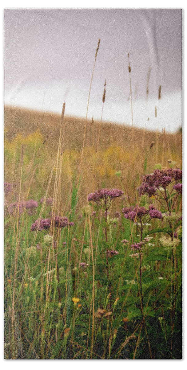 Wild Flowers Beach Towel featuring the photograph Wild Flowers At Dexter Drumlin by Michael Saunders