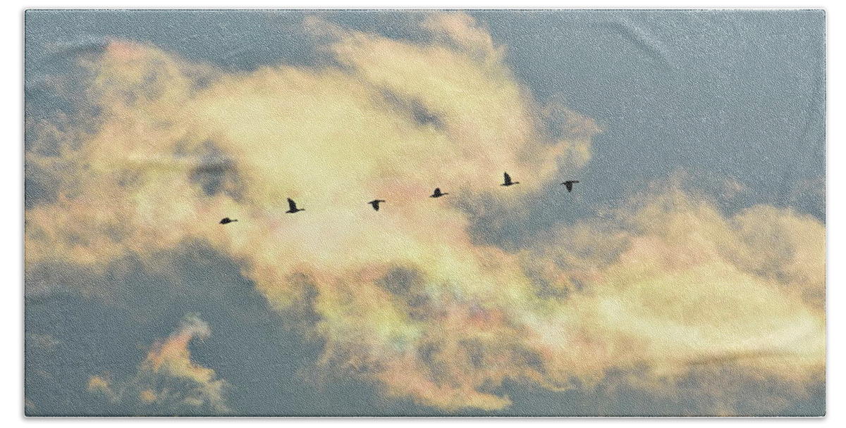 Animals Beach Towel featuring the photograph Wild geese are flyig past a rainbow colored cloud by Ulrich Kunst And Bettina Scheidulin