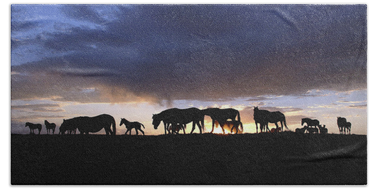 Wild Horse Beach Towel featuring the photograph Wild Horse Color Silhouette by Dirk Johnson