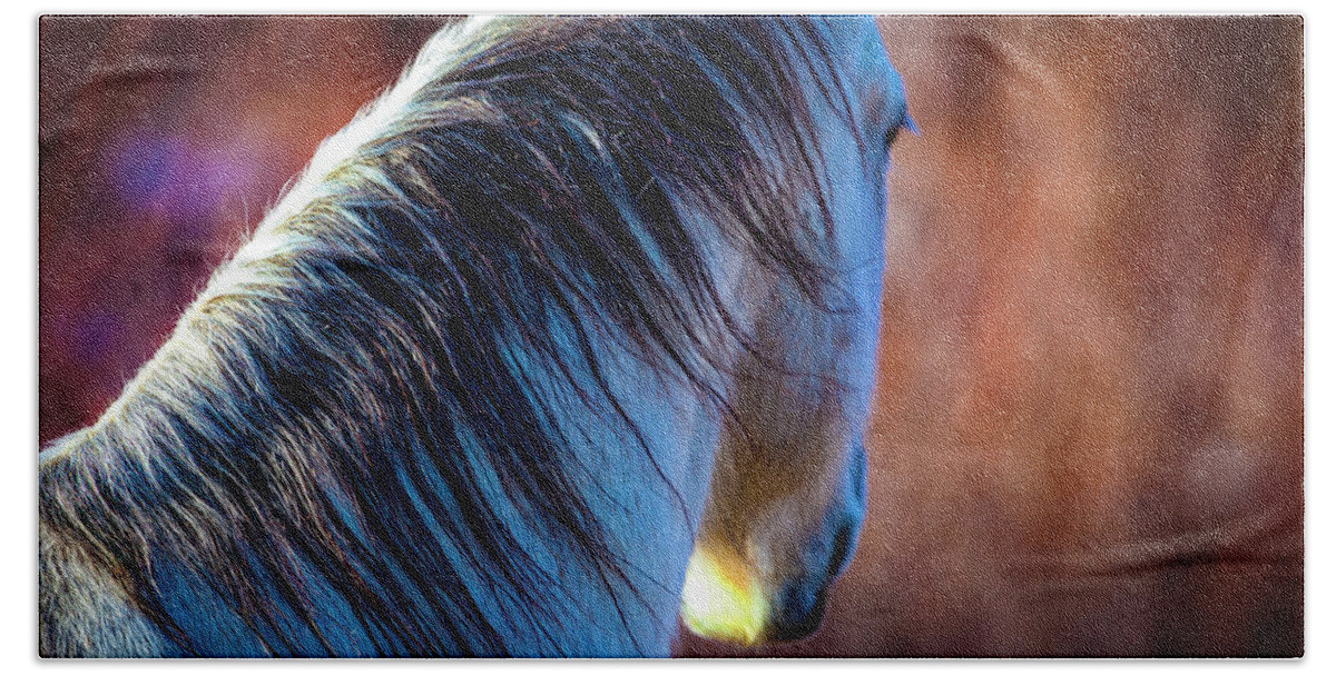Horse Beach Towel featuring the photograph Wild Horse No. 2 by Craig J Satterlee