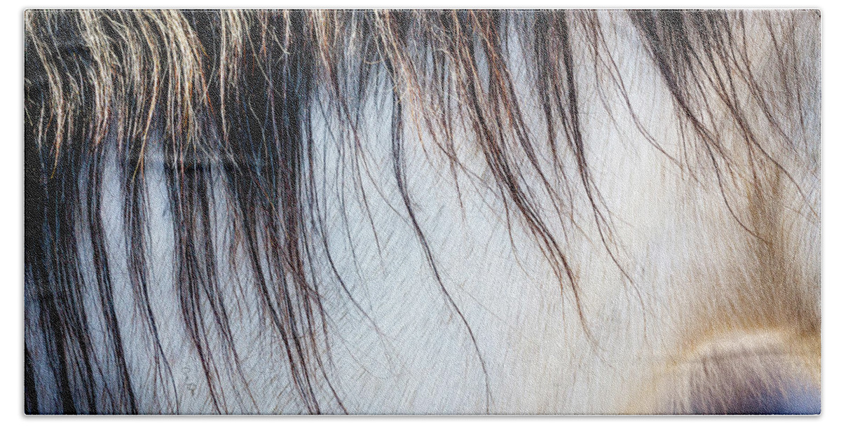 I Love The Beauty Of The Outdoors And Its Natural Wildlife. This Wild Horse Was Shot In The Pryor Mountain Wild Horse Range. Beach Towel featuring the photograph Wild Horse No. 5 by Craig J Satterlee