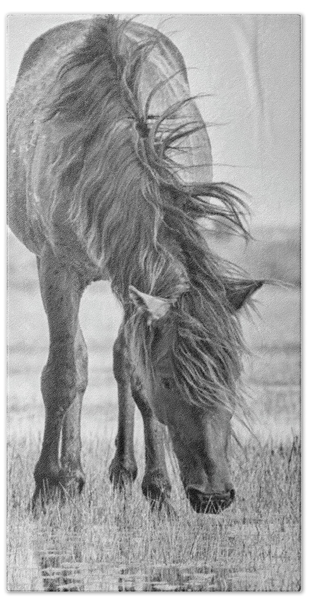 Wild Mustang Beach Towel featuring the photograph Wild Horse with Wind Blown Mane by Bob Decker