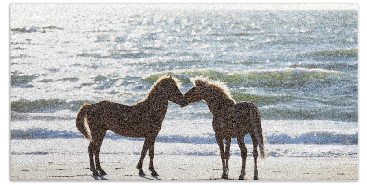 Wild Horses Beach Sheet featuring the photograph Wild Horses 30 by David Stasiak