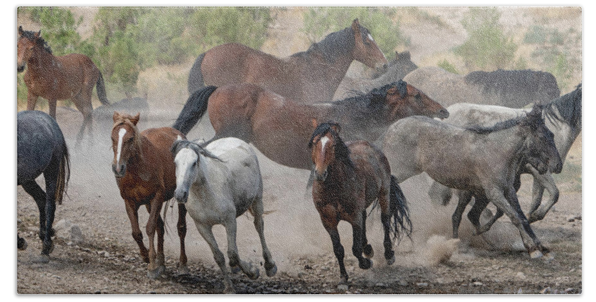 Wild Horses Beach Towel featuring the photograph Wild Horses Utah by Wesley Aston
