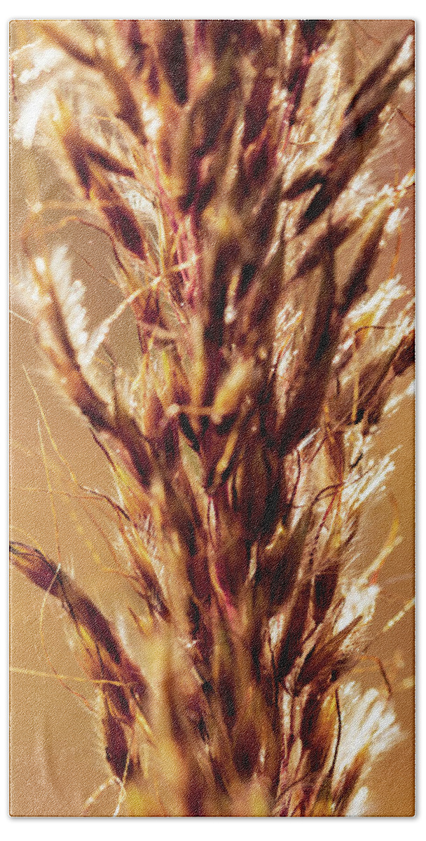 Wheat Beach Towel featuring the photograph Wild Wheat 2 by Amelia Pearn