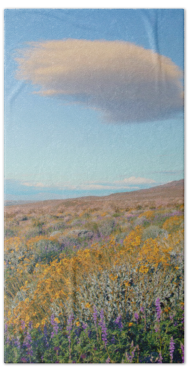 Joshua Tree National Park Beach Towel featuring the photograph Wildflowers and Lenticular Cloud at Joshua Tree National Park, California by Ram Vasudev