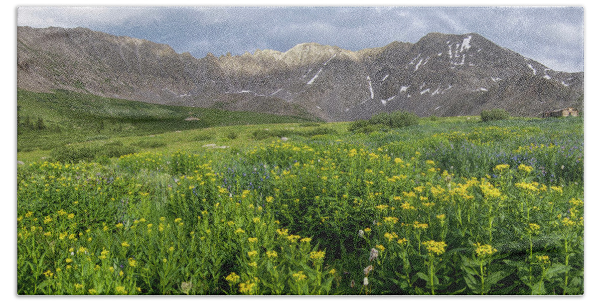 Breckenridge Beach Towel featuring the photograph Wildflowers in Mayflower Gulch by Aaron Spong
