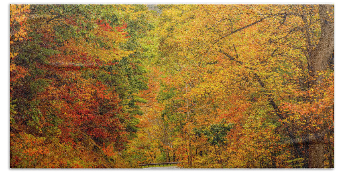 Autumn Beach Towel featuring the photograph Winding into Autumn by Dale R Carlson