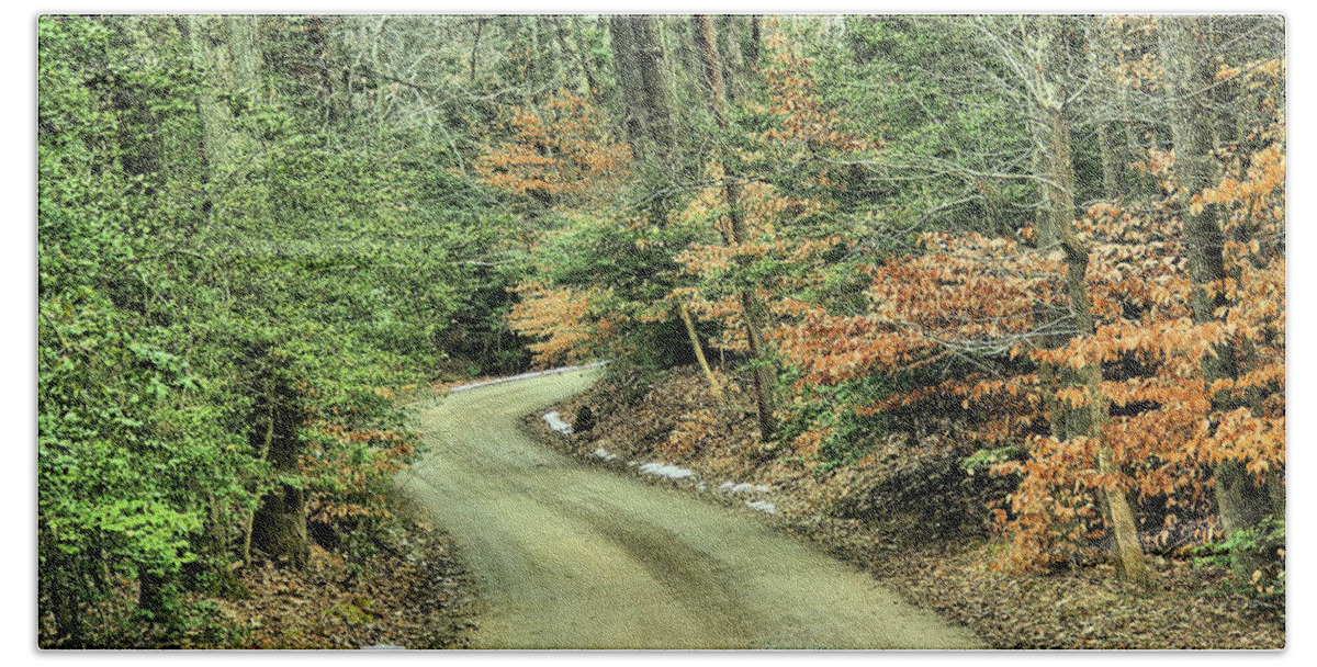 Trees Beach Sheet featuring the photograph Winding Road by Buddy Scott