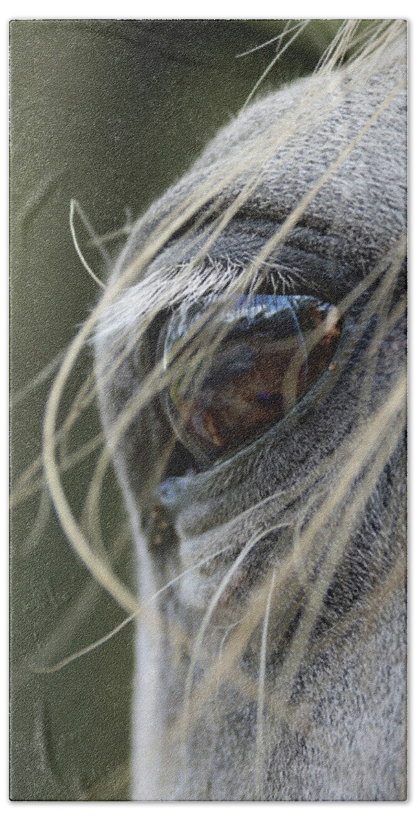 Horse Beach Towel featuring the photograph Window of the Soul by M Kathleen Warren