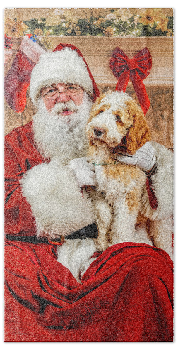 Winston Beach Towel featuring the photograph Winston with Santa 1 by Christopher Holmes