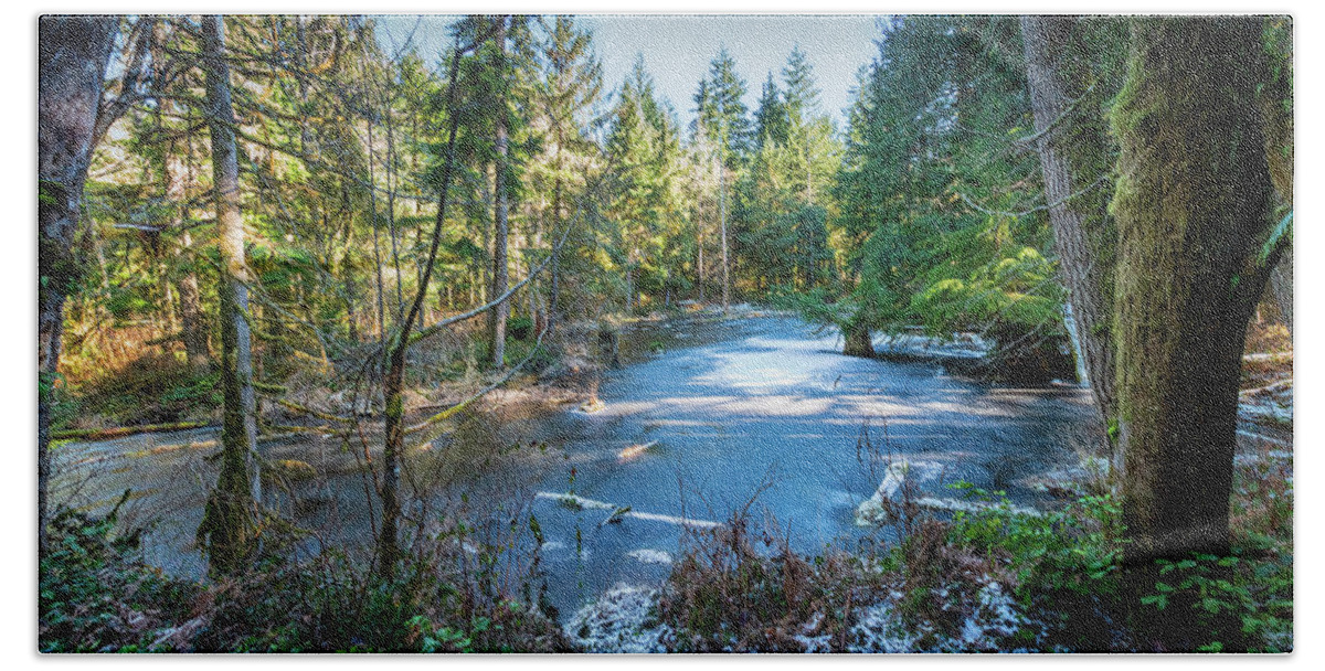 Trees And Forests Beach Towel featuring the photograph Winter at Silers Mill by Larey McDaniel