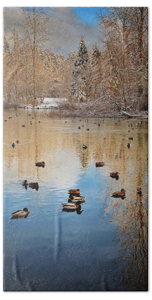 Winter Beach Towel featuring the photograph Winter Duck Pond by Jerry Abbott