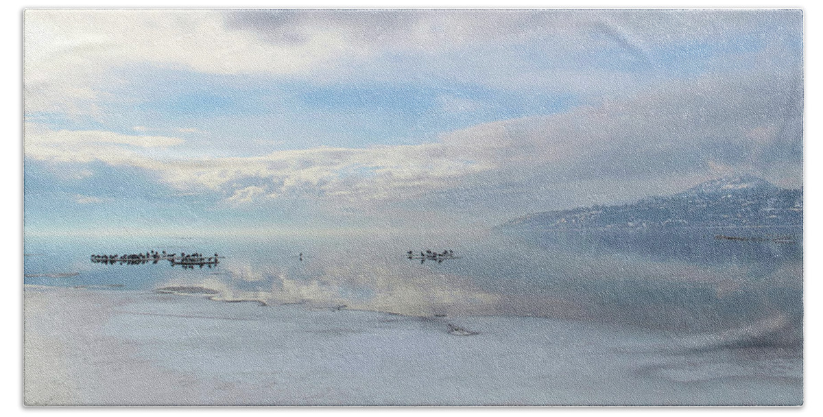 Landscape Beach Towel featuring the photograph Winter Gulls and Lake Ice by Allan Van Gasbeck
