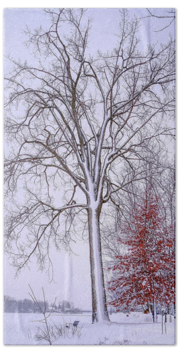 White Beach Towel featuring the photograph Winter, i don't wanna a lose red by Carl Marceau